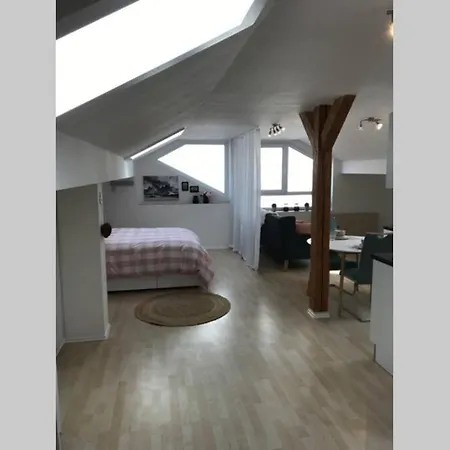 Smartes Dg Apartment-dream And Relax 公寓 肯普滕